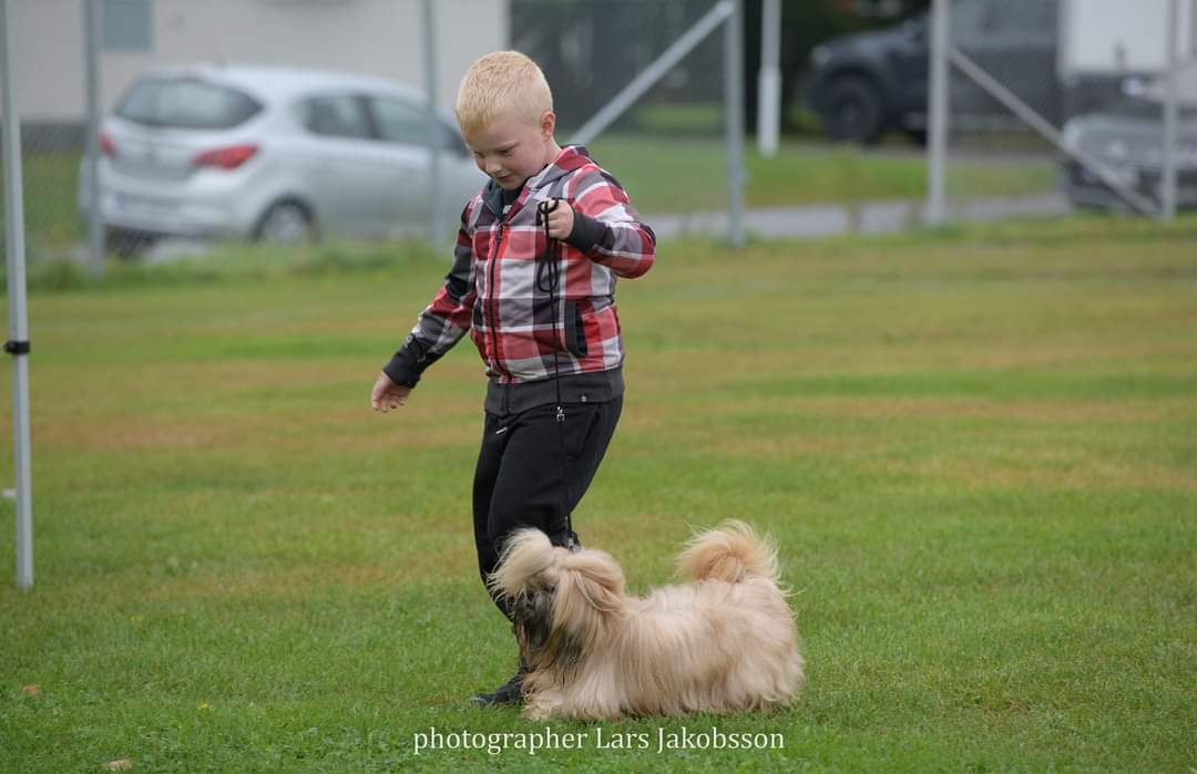 12 Barn med hund